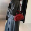 2025 Nuevo Bolso Nicho Boston para Mujer Bolso Bandolera Casual de Moda Simple Popular Portátil Bolso Cuadrado Pequeño