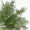 Simulação contendo yang planta verde neblina pinheiro fumaça árvore geada grama casamento sistema natural flor falsa paisagismo decoração com flores