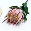 Nova flor de simulação pó de gelo flor imperial decoração de casa display floral de casamento móveis macios flor artificial de plástico imperador