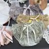 Liquidación Ropa Interior Femenina de Encaje de Seda Pura Hielo Malla Transparente Sexy Linda de Cintura Baja