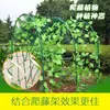 Rede de Treliça para Jardim de Casa Pepino Uva Rosa Plantas Trepadeiras Mensais Rede de Treliça de Nylon Reforçado