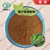 Extracto de Pangzhicai Polvo Concentrado de Pangzhicai Materia Prima de Pangzhicai Polvo Marrón Soluble en Agua Jin Heng En Stock Envío Gratis