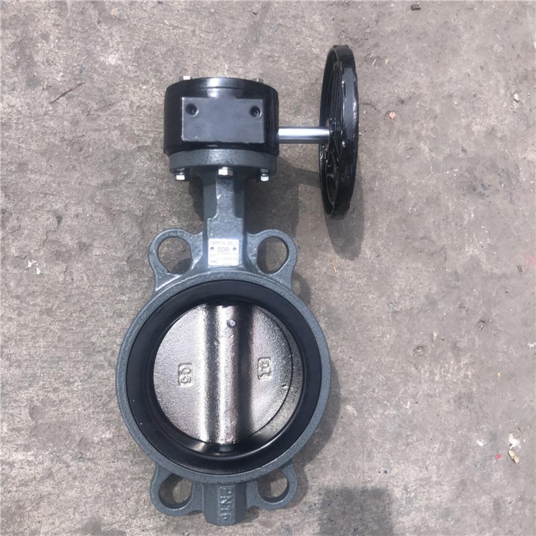 铸钢对夹蝶阀 (25)