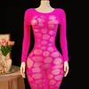 Lencería sexy, bestseller transfronterizo europeo y americano de Amazon, vestido bodycon transparente de malla jacquard hueco de manga larga para mujer