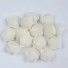 Opciones Multicolores 18mm Color Sólido Resina Transparente Camelia Fondo Plano Adornos Hechos a Mano para Fundas de Teléfono Accesorios de Manualidades