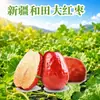 500g Tâmaras Vermelhas Hetian de Xinjiang Catier de Luxo Leve, disponíveis em vários tamanhos e embalagens para compartilhar, um lanche conveniente de frutas secas