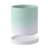 Maceta nórdica sencilla y creativa, personalizada, de cerámica, color verde carnoso, para el hogar, de gran tamaño, con bandeja.