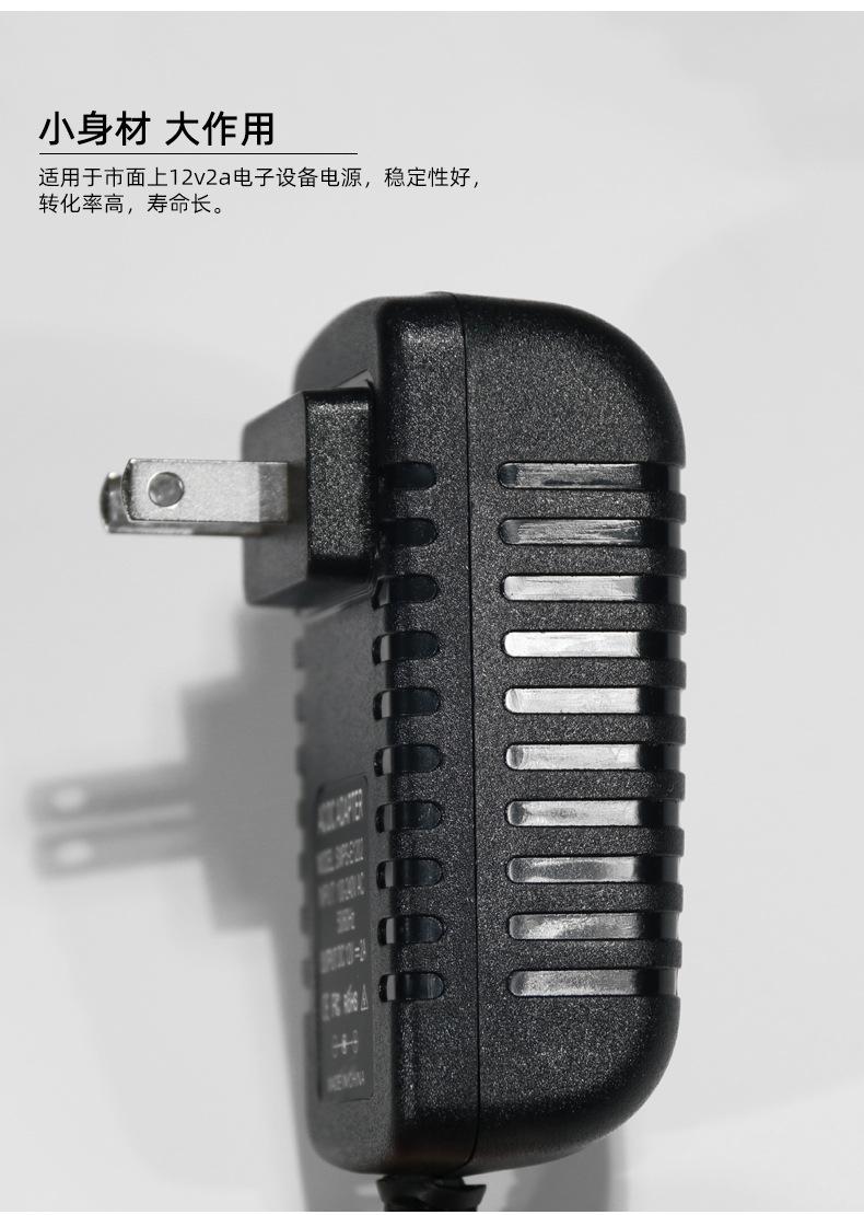 12V2A_06