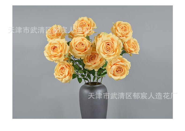 详情_13.png