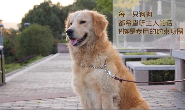 狗链详情_01.jpg