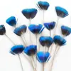 Venda Direta de Fábrica de Quase 100 Tipos de Acessórios Naturais de Penas Pequenas para Joias DIY, Acessórios de Cabeça, Broches, Chapéus, Materiais de Decoração para Artesanato