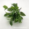 Suministro Directo de Fábrica de 7 Plantas Verdes Simuladas de PVC, Estrellas de Rábano Verde, Hojas Falsas, Regalos, Decoración de Habitación de Boda, Adornos Decorativos