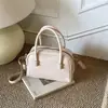 Bolsas de Diseño de Nicho para Mujer 2025 Nuevo Otoño e Invierno Bolso Versátil de Hombro Cruzado Estilo Coreano Ins Bolso tipo Satchel Bolso Almohada