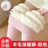 Pantalones Cálidos de Algodón de Lana de Cordero Noreste Más Terciopelo Más Gruesos A Prueba de Frío Ropa Interior Cintura Alta Leggings Extra Gruesos para Mujer Otoño e Invierno Venta al por Mayor