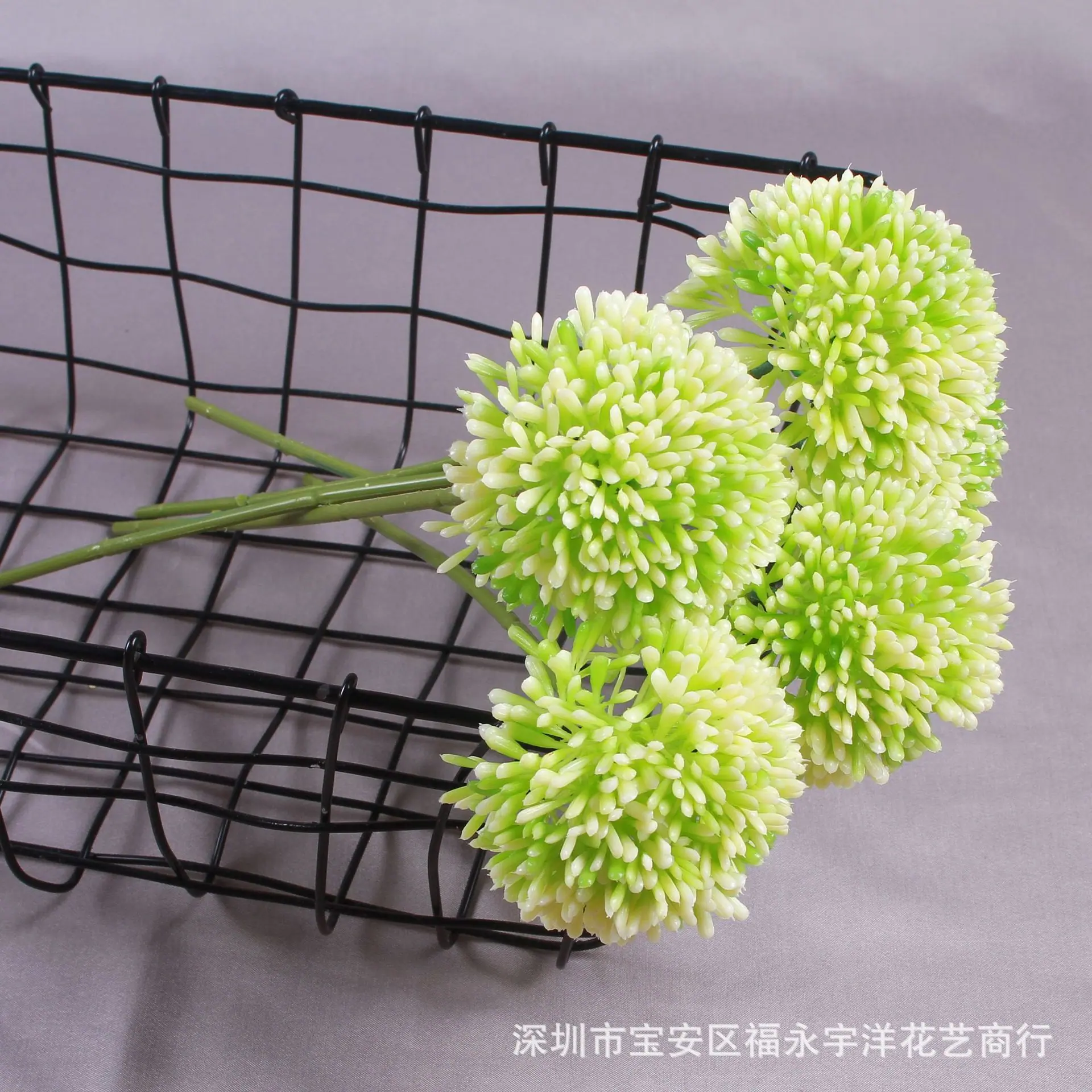IMG_8569_副本.jpg