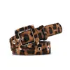 Cinturón de moda con estampado de leopardo para mujer, hebilla de pasador, decorativo para cintura de jeans, moda estudiantil, cinturón de pantalón personalizado, cinturón coreano versátil