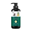 Yanmei Doctor Jugo de Jengibre Champú Nutritivo Hidratante Control de Grasa Voluminizador Anticaspa Cuidado Nutritivo del Cabello Champú de Jugo de Jengibre Venta al por Mayor