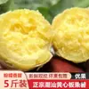 Batata Castaña de Piel Blanca y Pulpa Amarilla de Chaoshan, Guangdong, Huevos de Granja Recién Desenterrados, Batata Amarilla, Envío Gratis al por Mayor