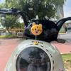 Decoración Casco Orejas de Gato Moto Coche Eléctrico Decoración Orejas de Oso Clavo Calcomanía Decoración Coche Libélula Molino de Viento Moto