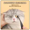 Cepillo Limpiador de Ojos para Mascotas Transfronterizo, Cepillo Limpiador de Ojos para Mascotas, Brocha de Maquillaje, Suministros para Limpieza y Belleza de Mascotas # #