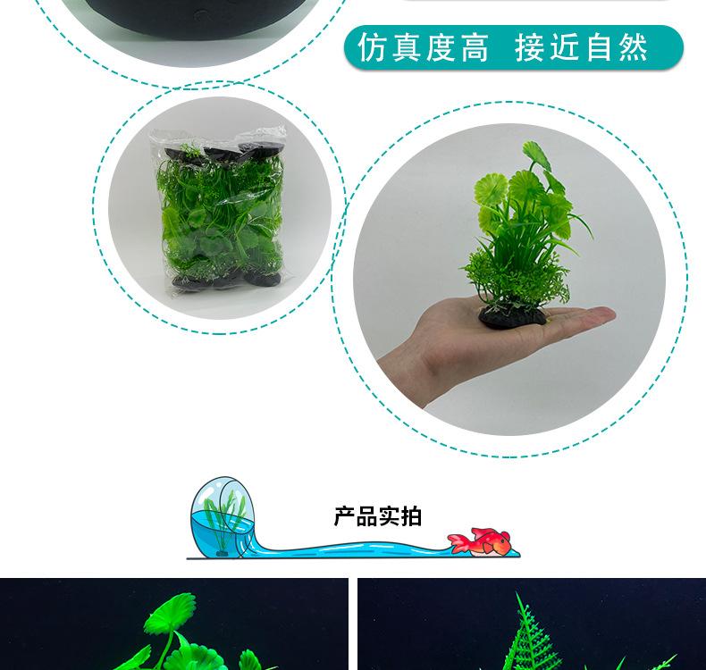 详情_03.jpg
