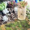 Mini vaso de flores suculentas feito à mão bonito vaso de polegar planta verde especial pequeno vaso de tubo de ensaio ponta do dedo dispositivo de flor em miniatura