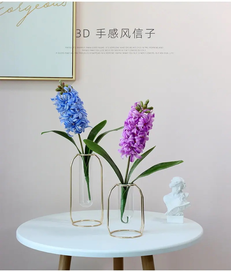 风信子1.jpg