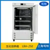 Incubadora Bioquímica de Baixa Temperatura Shanghai Tite LRH-250BOD Incubadora Bioquímica Inteligente de Temperatura Constante de Laboratório