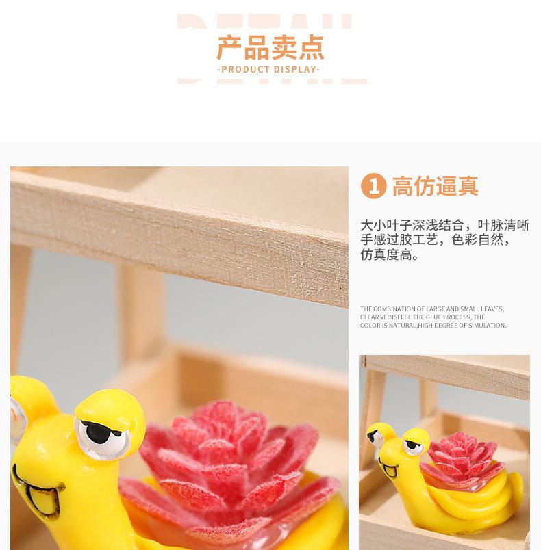 六色突眼蜗牛_12