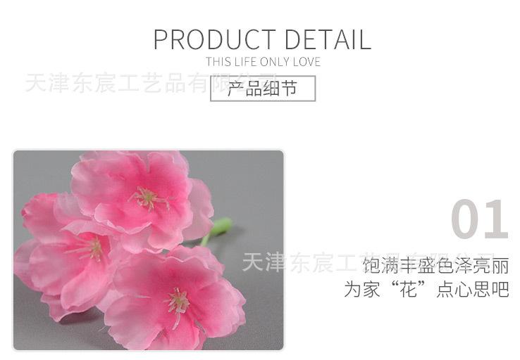 详情_07.jpg