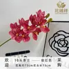 Novo Modelo Flores Artificiais de Orquídea Phalaenopsis em EVA para Decoração de Sala de Estar em Casa, Decoração Floral de Fundo para Hotel Atacado