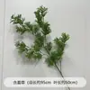 Hierba de Espárrago, Hierba Bigote de Dragón, Paisajismo de Plantas, Vegetación, Banquete de Boda y Compromiso, Exhibición Colgante para Ventana Estilo Bosque, Arreglo Floral