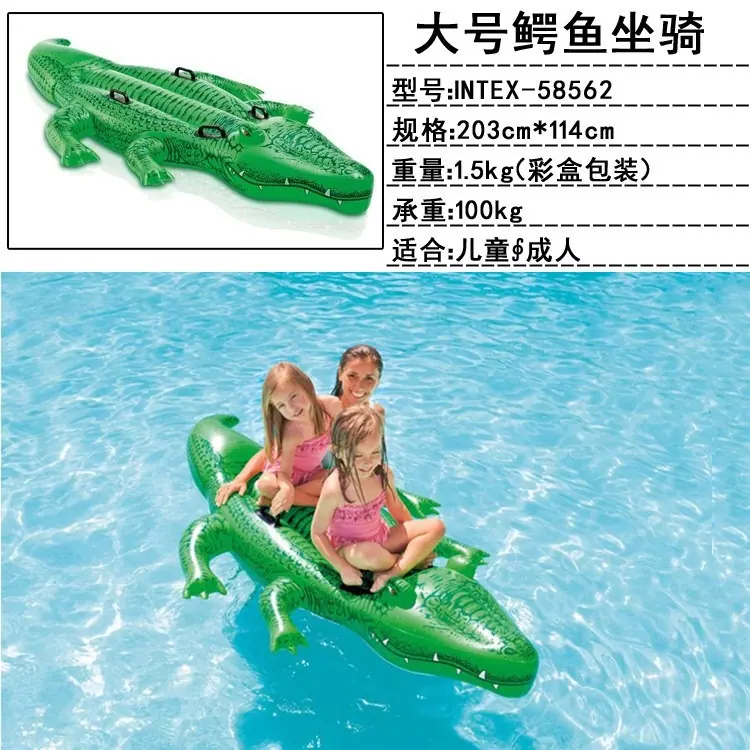 58562