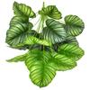 Nuevo Producto Transfronterizo Amazon Nórdico Planta de Simulación Sala de Estar Interior Planta Verde Falsa Decoración del Hogar Bonsái Artificial Bonsái