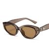 Gafas de Sol Gm Roco Etiquetado con Logo Personalizado Gafas Ojo de Gato Populares en Instagram Gafas para Fotografía Callejera Fábrica de Gafas Duqiao