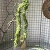 Enredaderas ramas ramitas higuera raíces aéreas trepadoras colocación musgo enredaderas muertas musgo artificial paisajismo estilo bosque colgante de pared decoración de arte floral