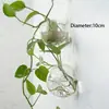 Jarrón de cristal creativo Transparente Sala de estar Colgante de pared simple y moderno Drácena Sanderiana piña verde jarrón pequeño hidropónico