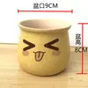 Maceta de flor de suculenta de dibujos animados, cerámica, transpirable, fresca, creativa, expresión linda, para flores y plantas suculentas, maceta para uso en casa