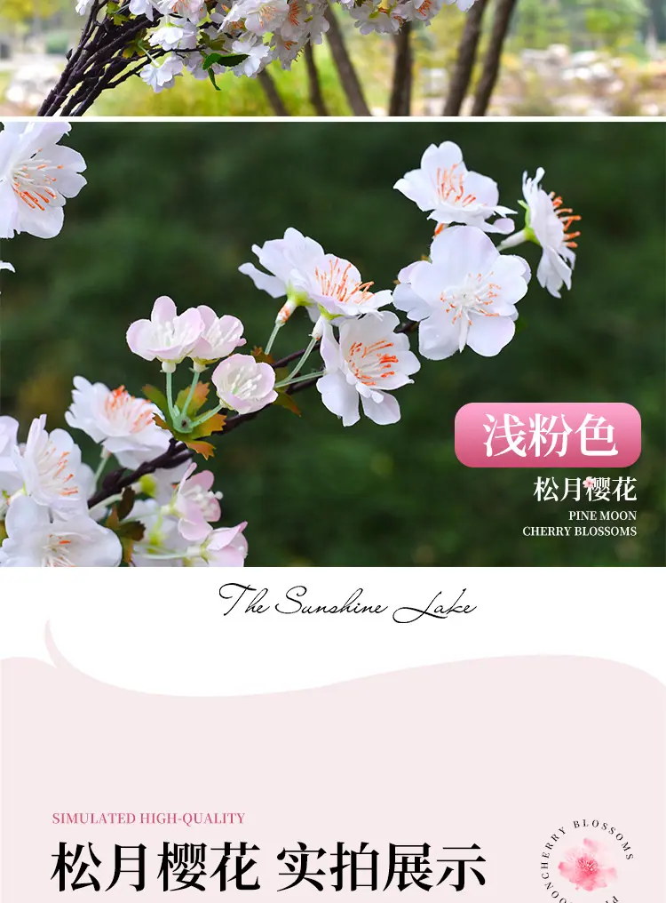 详情_14.jpg