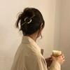 Nueva bloguera súper atractiva con horquilla geométrica simple de metal que combina con todo, plancha para el cabello con clip superior de estilo viento frío de Corea