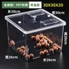 Caja de Exhibición Sellada Acrílica a Prueba de Humedad y Moho para Frutas Secas, Caja de Plástico para Venta al Por Mayor en Supermercado, Caja de Exhibición para Snacks
