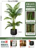 Palmera Areca Artificial Grande de Lujo de Gama Alta, Planta Verde, Árbol Falso, Planta de Bambú Cola de Fénix para Decoración de Paisajismo Tropical de Interiores