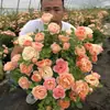 Hacker Queen Jugo Rosa Maceta Balcón Patio Villa Flor Planta Cuatro Estaciones Dropshipping