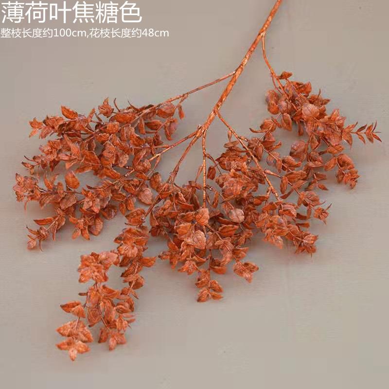 薄荷叶焦糖色