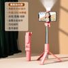 Palo selfie para teléfono móvil, Soporte de trípode Bluetooth para transmisión en vivo y fotos de Tiktok, Palo de luz de relleno de belleza, Palo selfie portátil