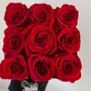 Cubo de Abrazo Acrílico Flor Eterna Transfronterizo Serie Terminada Día de San Valentín Rosa Cabeza de Champiñón Amazon Navidad