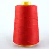 Hilo de Poliéster de Colores para Coser Bolsas, Hilo de Sellado para Máquina de Coser de Bolsos de Mano, Hilo de Sellado para Empaque de Bolsas Tejidas, Hilo para Zongzi, Hilo y Aguja de Alta Resistencia