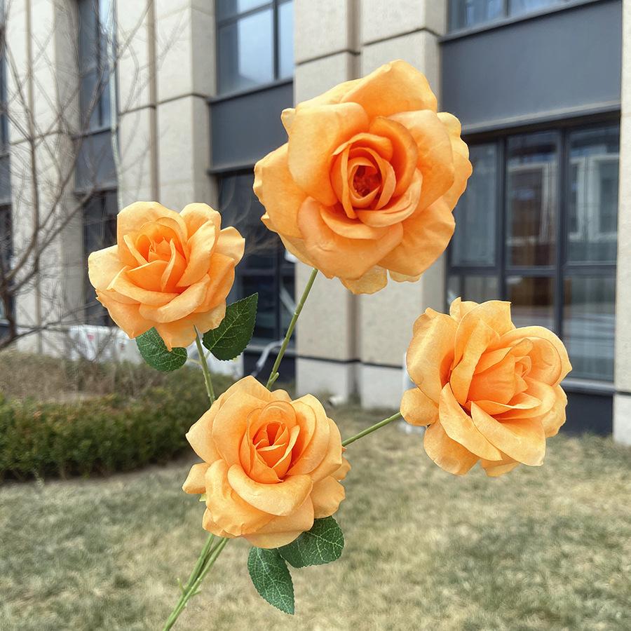 4头如意雅致玫瑰-wxlsx-桔色.JPG
