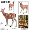 Crianças Simulação Veado-de-cauda-branca Animal Alce Veado Sika Modelo Ornamentos Sólidos Conjunto Brinquedos de Natal