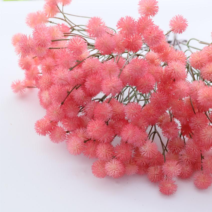 9G4A2496_副本.jpg
